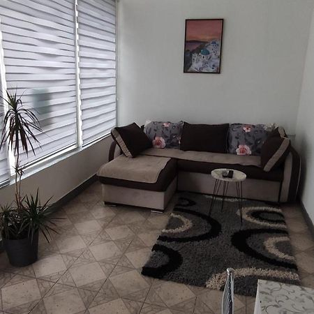 Apartman Jasna, Пирот Экстерьер фото